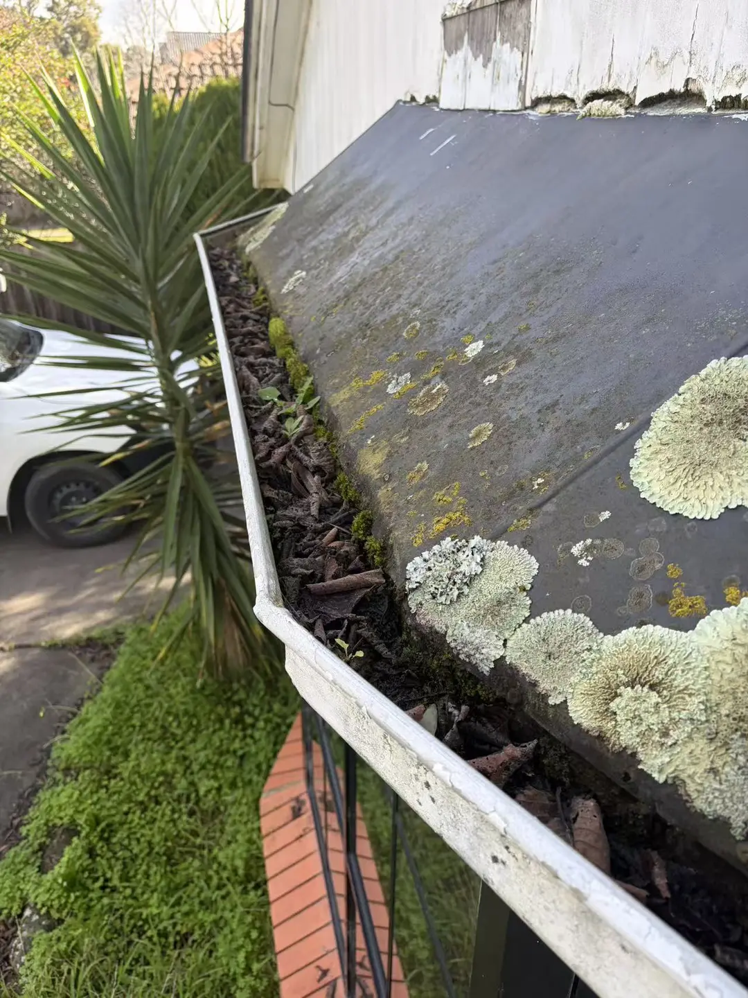 Blocked perimeter gutter packed with leaves and organic debris beside a low roof section