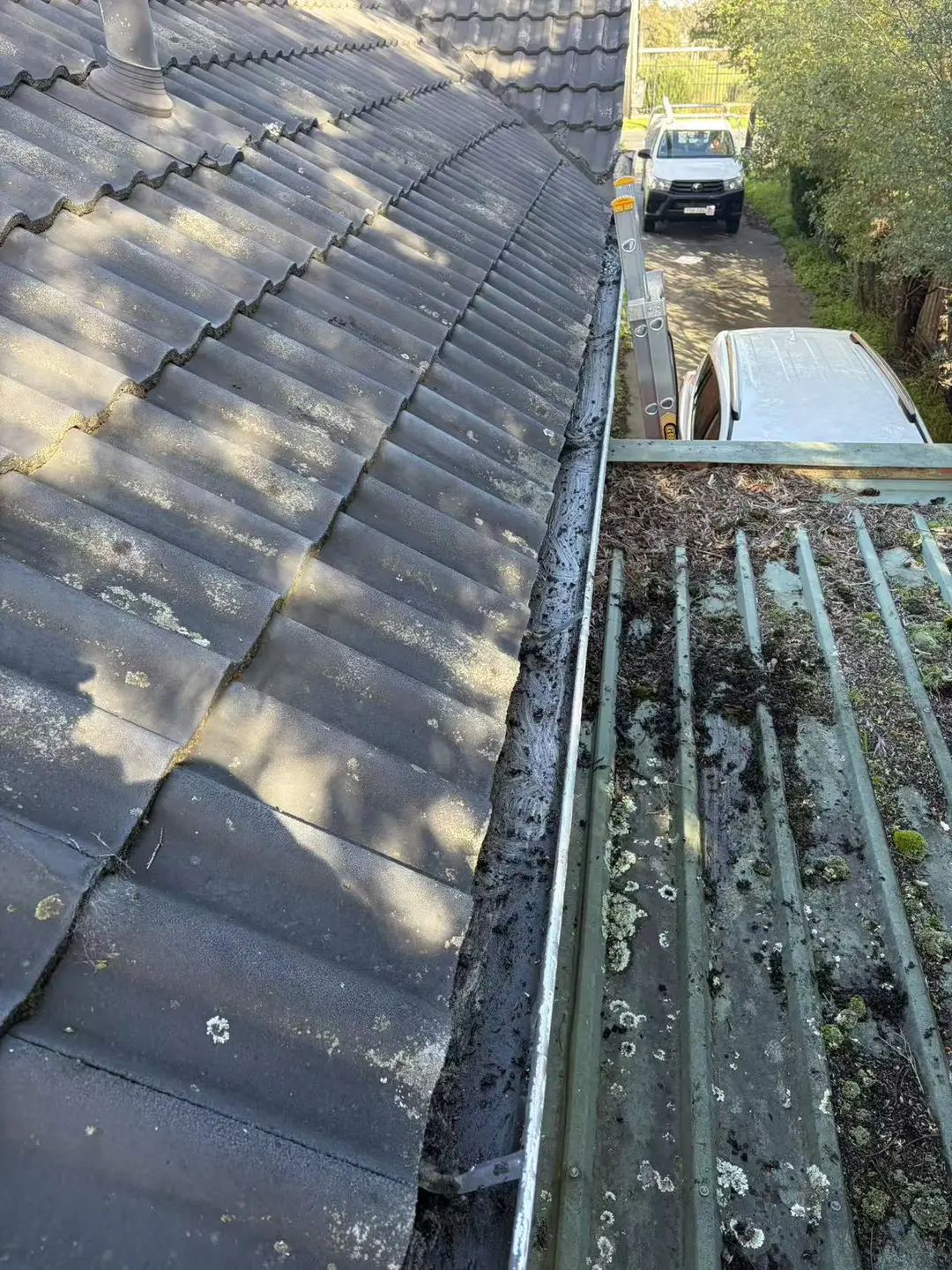 Heavy organic buildup in a gutter between tile and adjoining metal roof sections