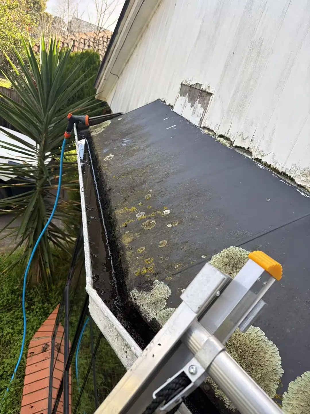 Gutter cleaning in progress with a hose and ladder beside the roof edge