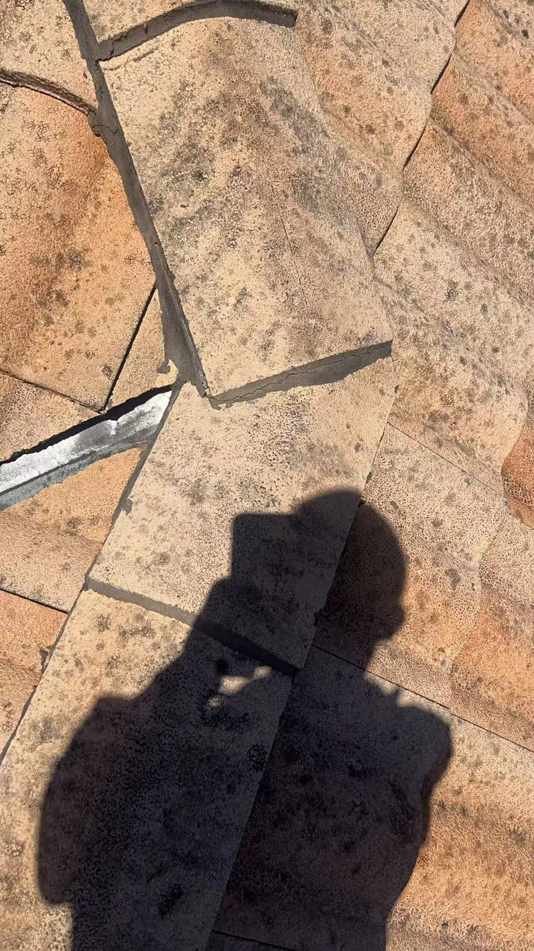 Tiled roof ridge condition before roof leak repair in Greater Brisbane
