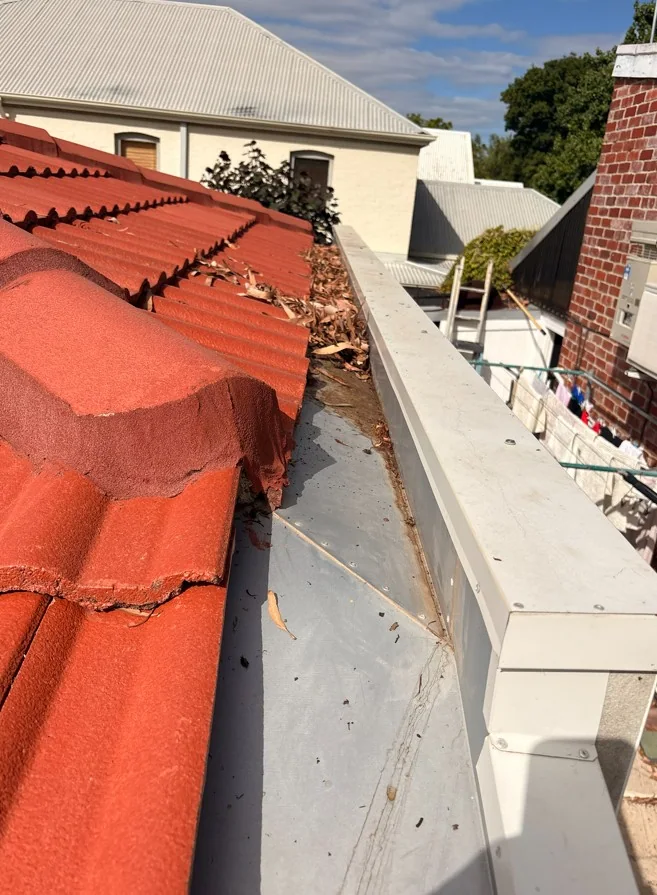 Leaves and loose debris blocking a metal roof valley beside red concrete tiles